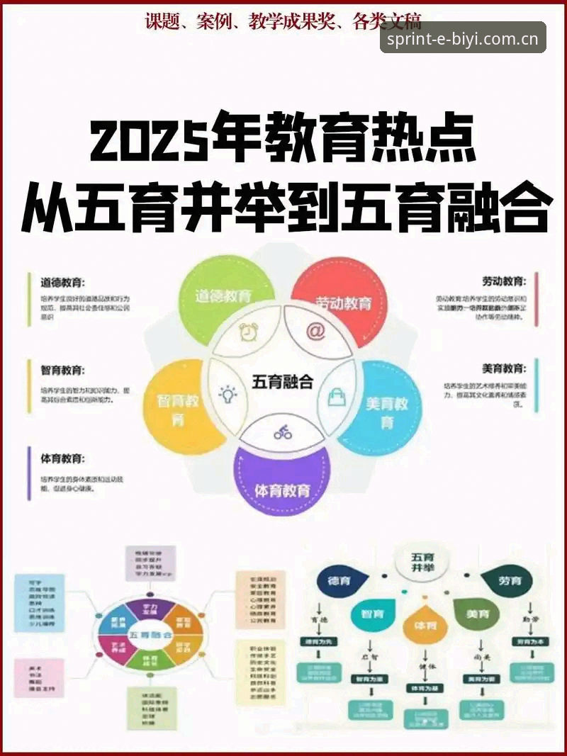 深度揭秘:必一体育官方网站2025版升级背后的创新逻辑